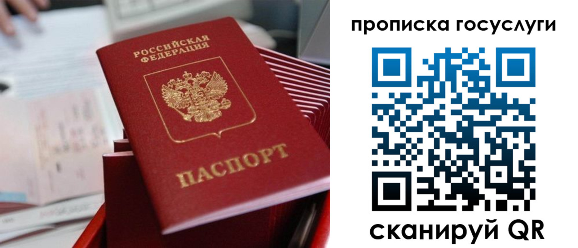прописка законно в Барыше